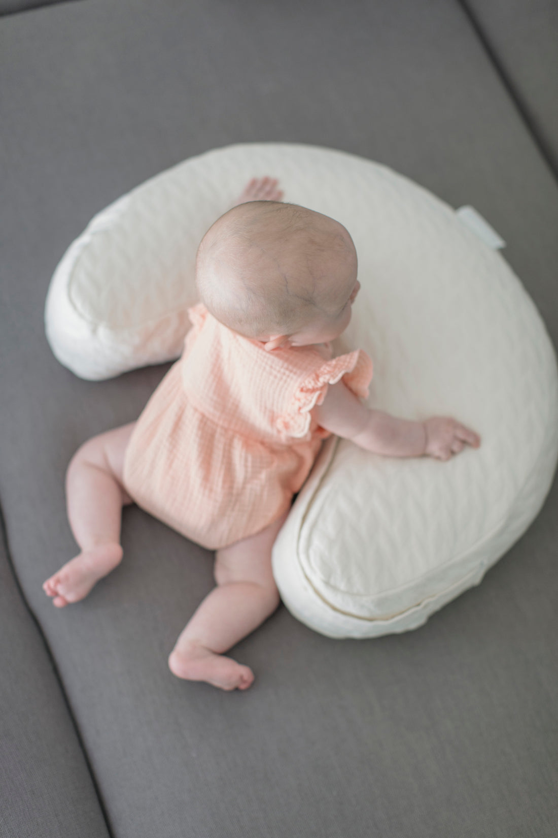 Perch Pillow + Case (Grey)