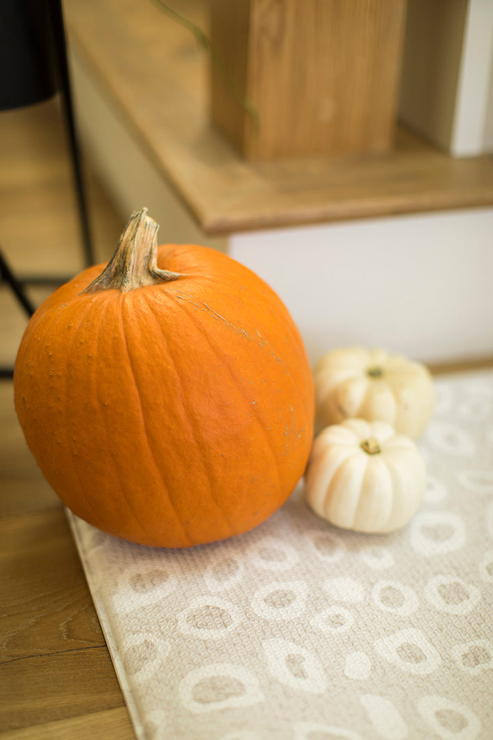Seasonal Eating: Fall Time Lunch Ideas For Kids