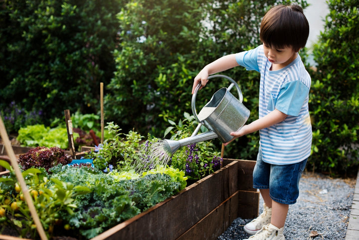 Tips For Gardening With Kids